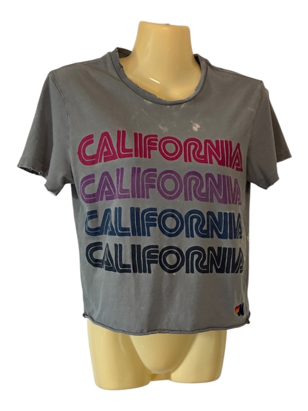 Aviator Nation Distressed California Repeat Boyfriend Tee Gray Multicolor XS